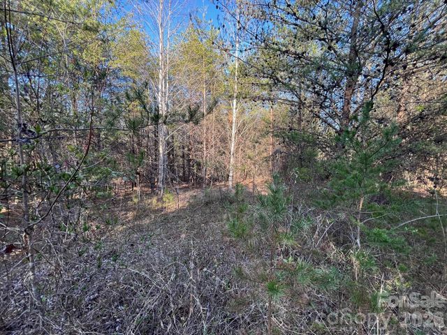 TBD Southern Way, Nebo, NC 28761