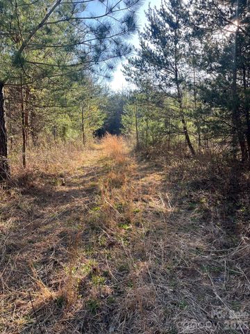 TBD Southern Way, Nebo, NC 28761