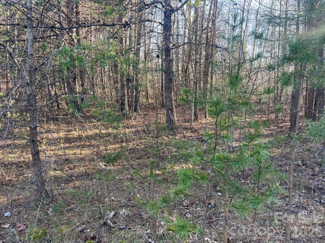 TBD Southern Way, Nebo, NC 28761