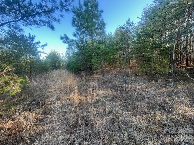 TBD Southern Way, Nebo, NC 28761