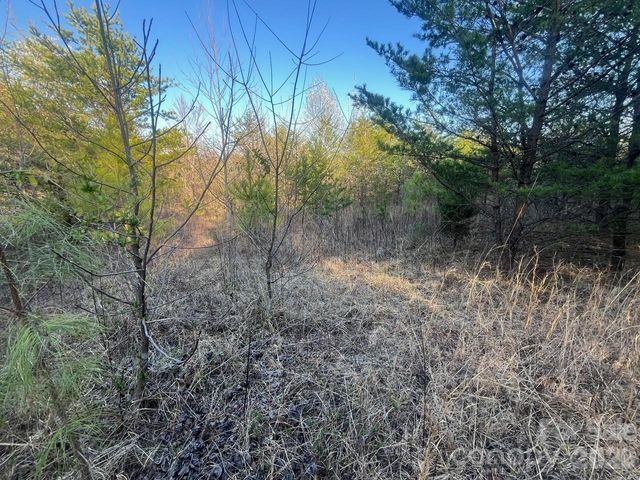 TBD Southern Way, Nebo, NC 28761
