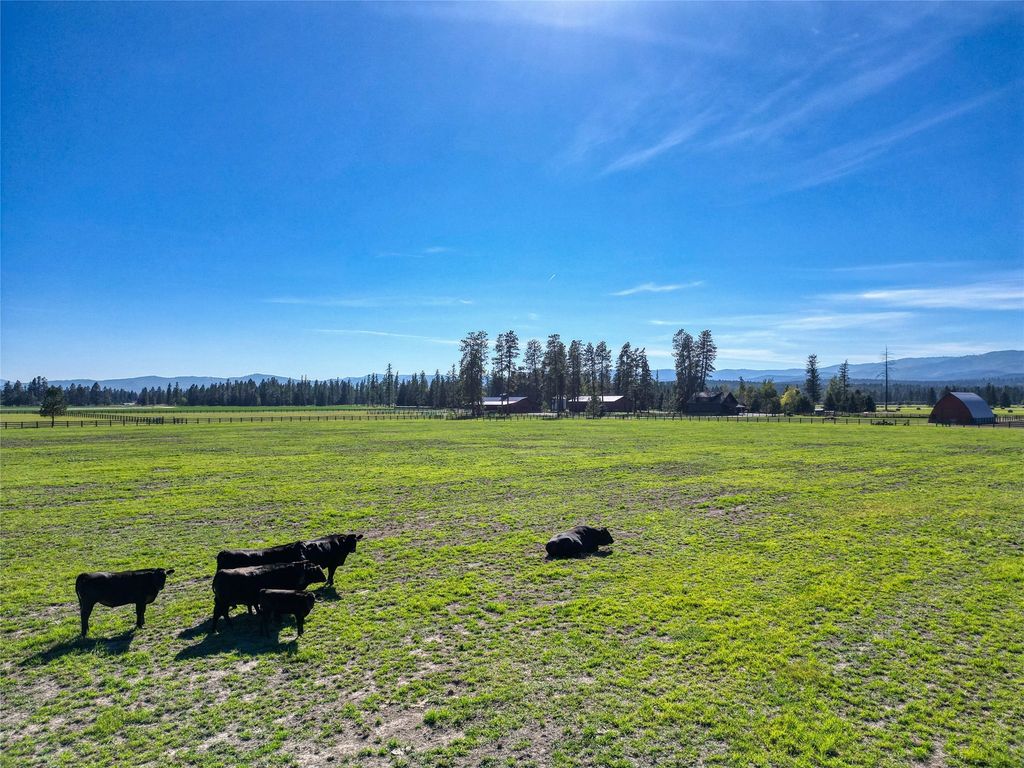 1212 Spring Prairie Ranch Road, Whitefish, MT 59937 photo 118