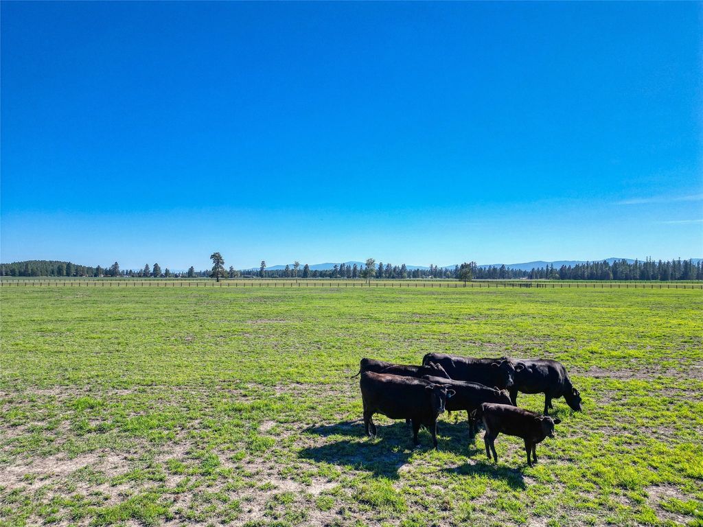 1212 Spring Prairie Ranch Road, Whitefish, MT 59937 photo 119