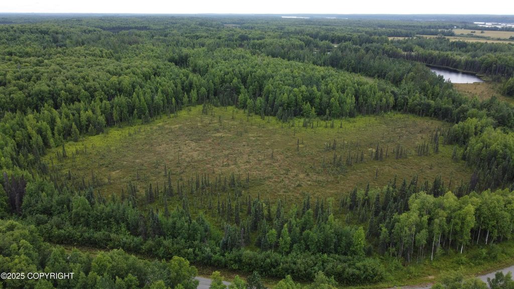 L2 B3 E Mount Snowshoe Drive, Talkeetna, AK 99676