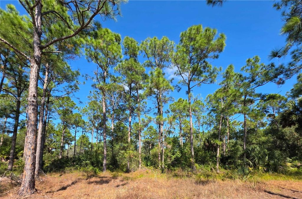 Image 3 of property listing at 645 S Jasmine ST, Clewiston, FL 33440