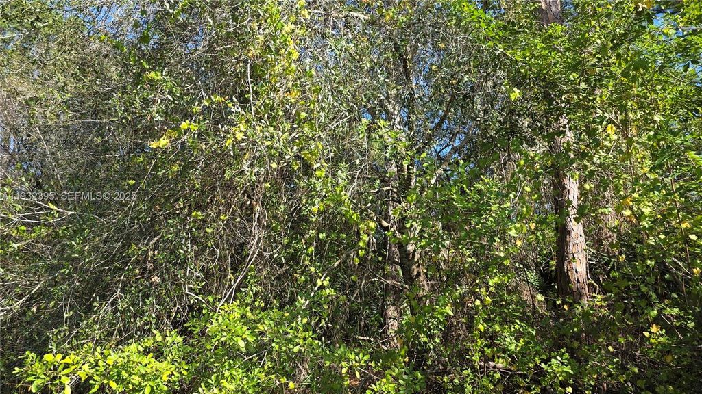 Image 8 of property listing at 645 S Jasmine ST, Clewiston, FL 33440