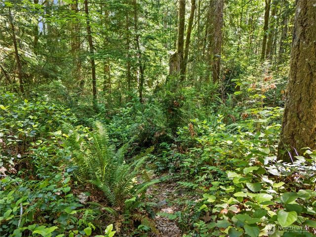 370 N Mount Jupiter Drive, Hoodsport, WA 98548
