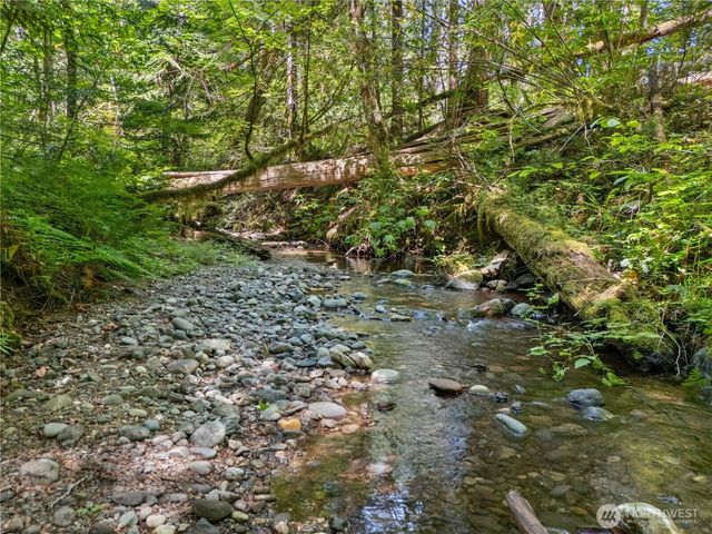 370 N Mount Jupiter Drive, Hoodsport, WA 98548