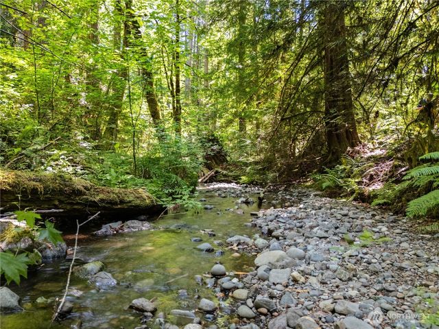 370 N Mount Jupiter Drive, Hoodsport, WA 98548