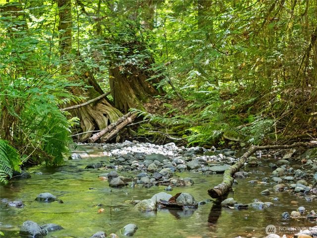 370 N Mount Jupiter Drive, Hoodsport, WA 98548