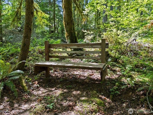 370 N Mount Jupiter Drive, Hoodsport, WA 98548