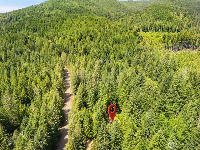 370 N Mount Jupiter Drive, Hoodsport, WA 98548