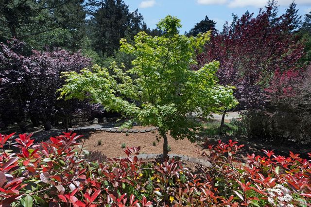 750 wagnon Rd, Sebastopol, CA 95472