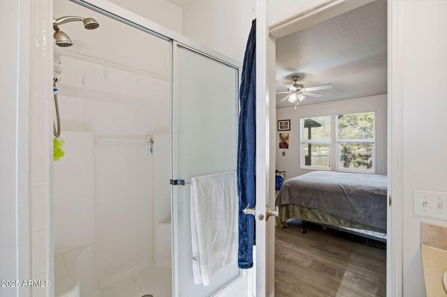 2325 W SYLVESTER Circle, Show Low, AZ 85901