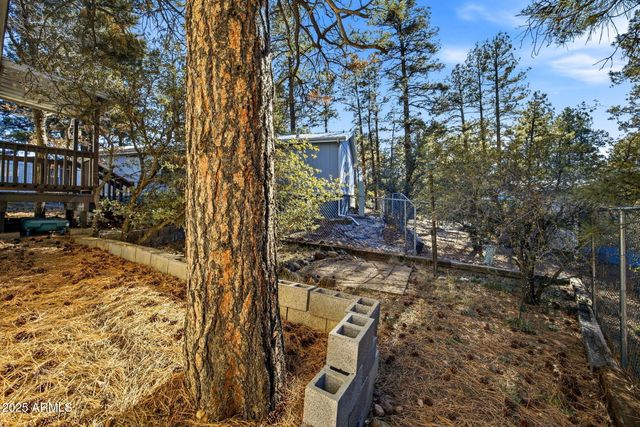 2325 W SYLVESTER Circle, Show Low, AZ 85901