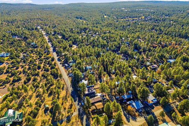 2325 W SYLVESTER Circle, Show Low, AZ 85901