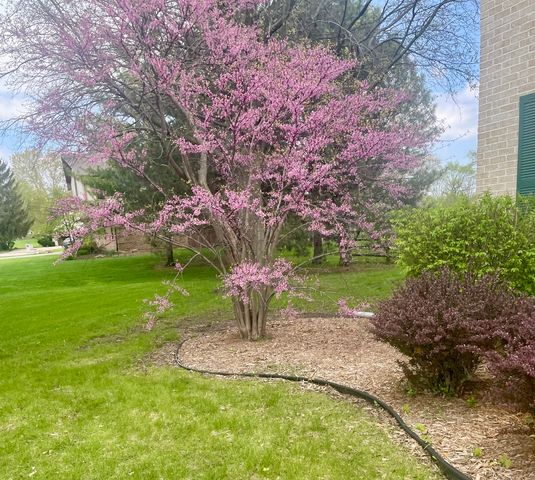 8S765 Singletree Lane, Naperville, IL 60565
