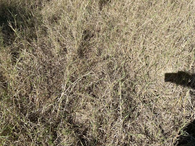 310 County Road 621, Hamilton, TX 76531