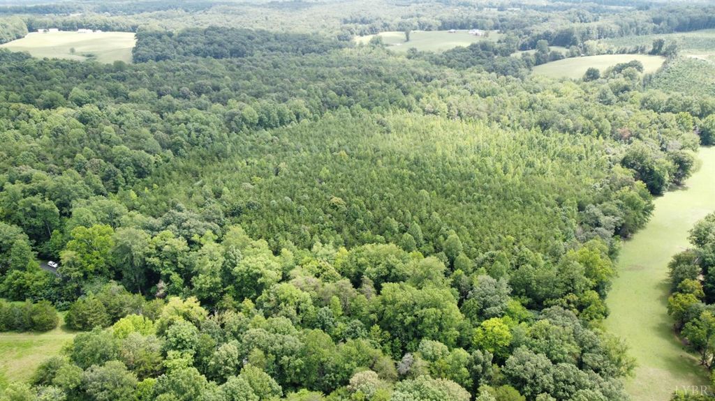 Image 1 of property listing at 0 Wheelers Spring Rd, Pamplin, VA 23958