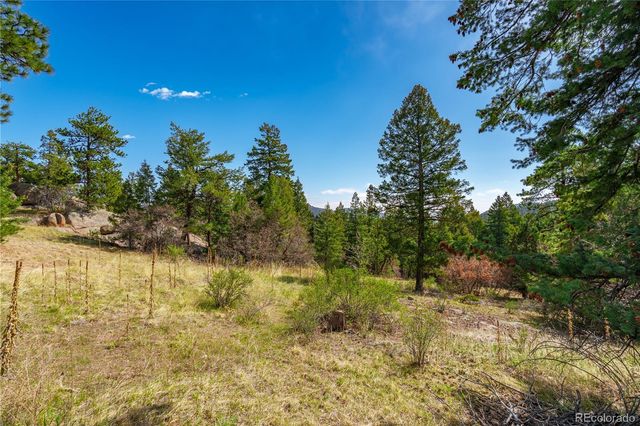 22668 Shawnee Road, Indian Hills, CO 80454