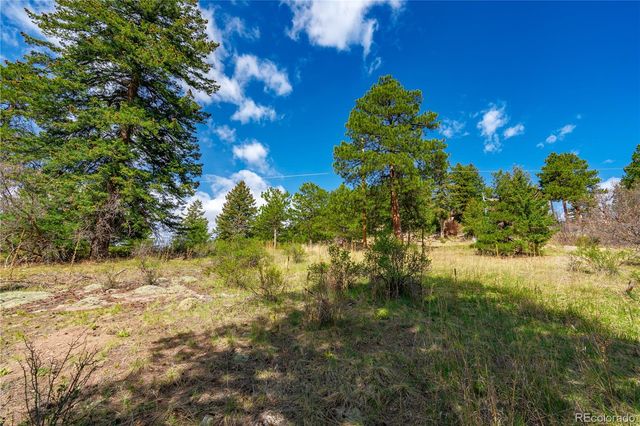 22668 Shawnee Road, Indian Hills, CO 80454