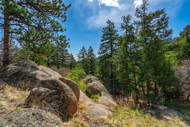 22668 Shawnee Road, Indian Hills, CO 80454
