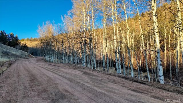 524 Buckhorn Road, Cripple Creek, CO 80813