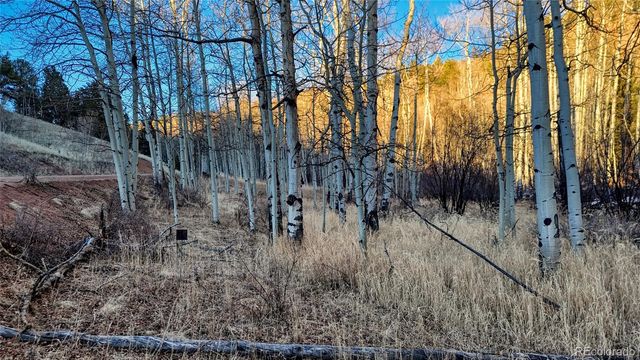 524 Buckhorn Road, Cripple Creek, CO 80813