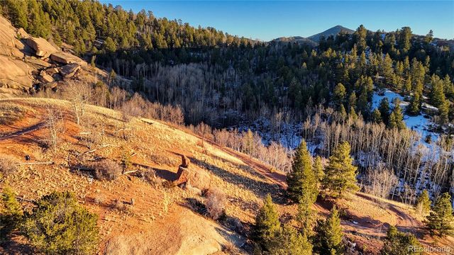524 Buckhorn Road, Cripple Creek, CO 80813
