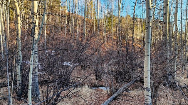 524 Buckhorn Road, Cripple Creek, CO 80813