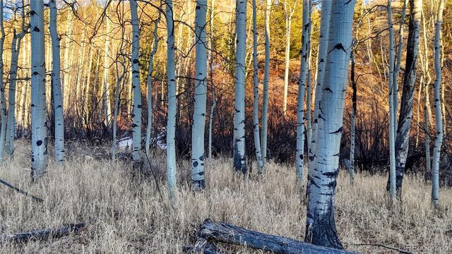 524 Buckhorn Road, Cripple Creek, CO 80813