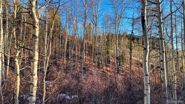 524 Buckhorn Road, Cripple Creek, CO 80813