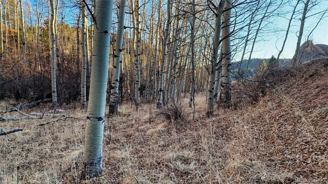 524 Buckhorn Road, Cripple Creek, CO 80813