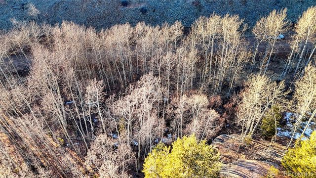 524 Buckhorn Road, Cripple Creek, CO 80813