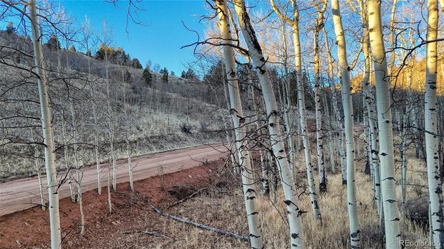 524 Buckhorn Road, Cripple Creek, CO 80813