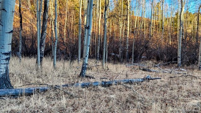 524 Buckhorn Road, Cripple Creek, CO 80813