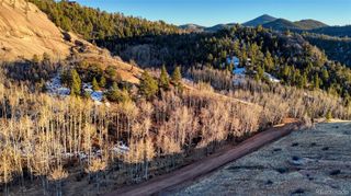 524 Buckhorn Road, Cripple Creek, CO 80813