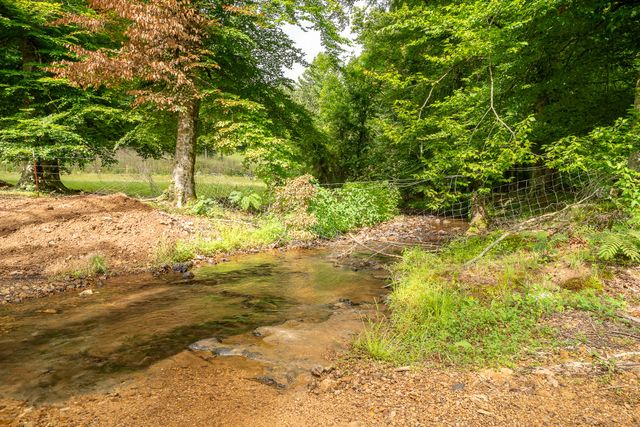 8315 Suckstem Branch Rd, Lawrenceburg, TN 38464