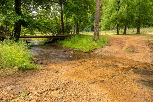 8315 Suckstem Branch Rd, Lawrenceburg, TN 38464
