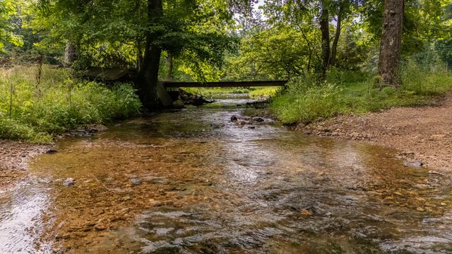8315 Suckstem Branch Rd, Lawrenceburg, TN 38464
