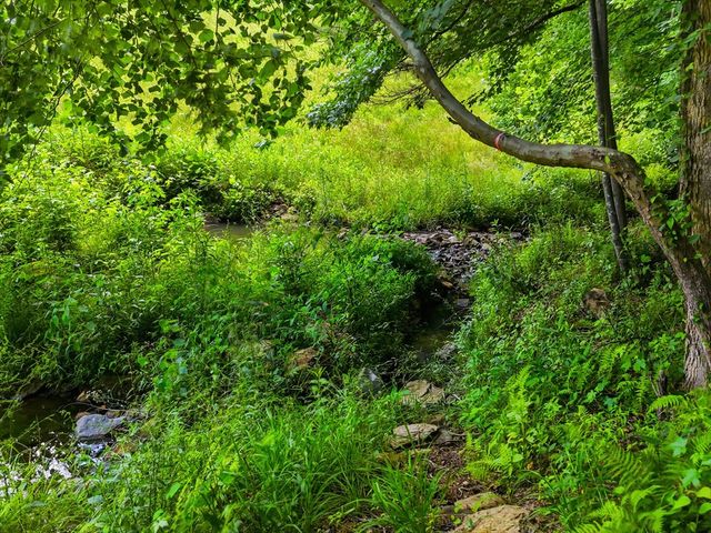 214 Kelly Lane, Ellijay, GA 30540