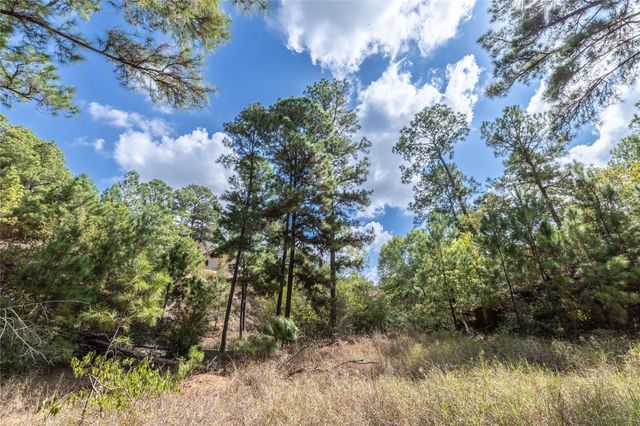 LOT 1447 Koae CT, Bastrop, TX 78602