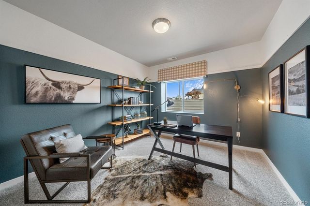 9996 Antelope Ravine Drive, Colorado Springs, CO 80908