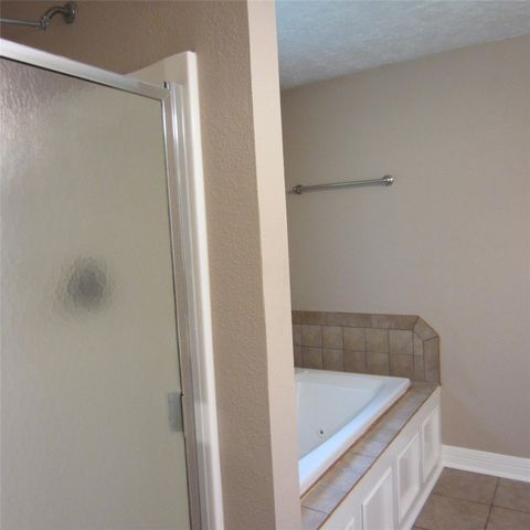 18675 Ferne Drive, Porter, TX 77365