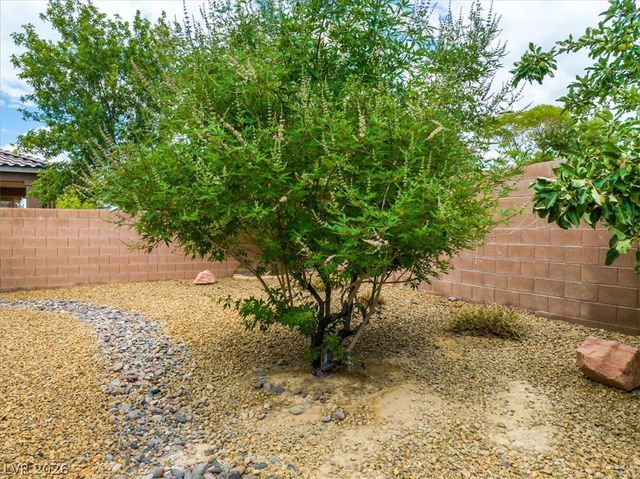4725 Santa Fiora Street, Pahrump, NV 89061