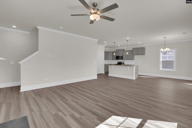 618 Griffon Drive, Chapin, SC 29036