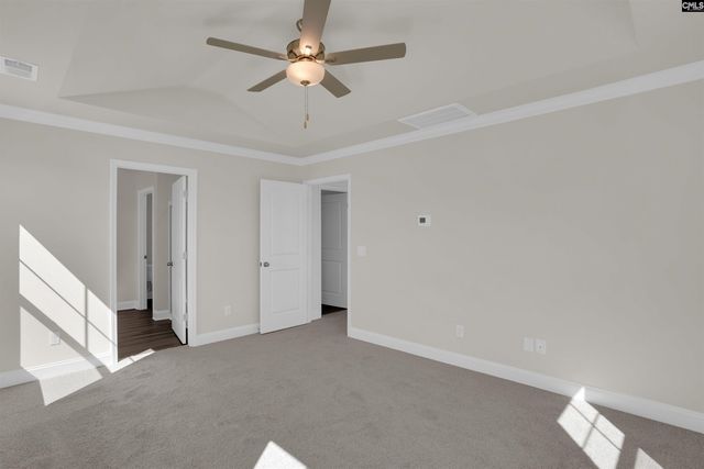 618 Griffon Drive, Chapin, SC 29036