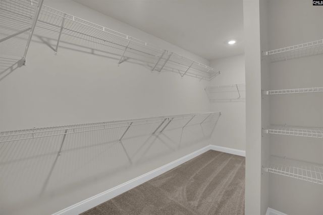 618 Griffon Drive, Chapin, SC 29036