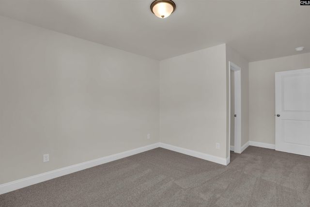 618 Griffon Drive, Chapin, SC 29036