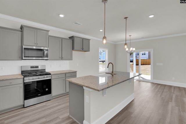 618 Griffon Drive, Chapin, SC 29036